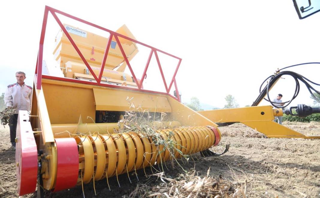 Coğrafi işaretli lezzet için hasat zamanı: Talep patlaması yaşanıyor! Belediye ücretsiz dağıttı 13